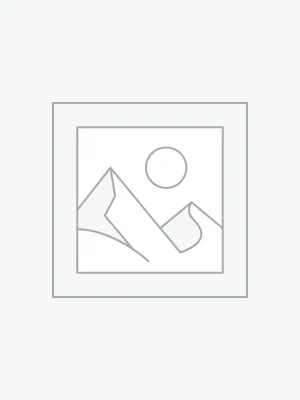 Digital Product